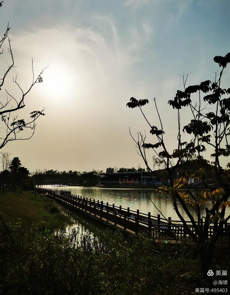 台山市金星湖湿地公园